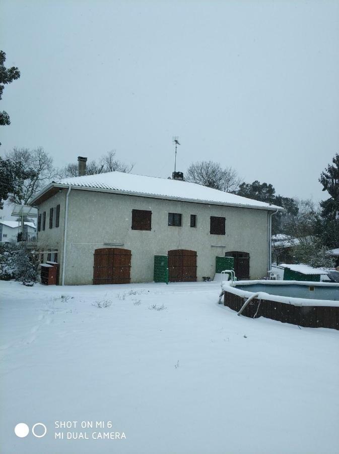 Ferienwohnung Les Bananiers Capbreton Exterior foto